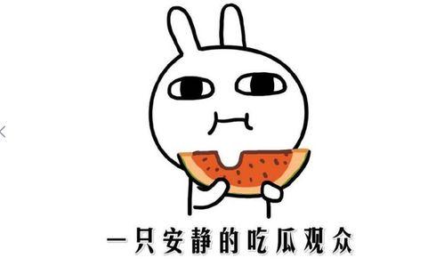 网络词吃瓜是什么意思啊怎么说
