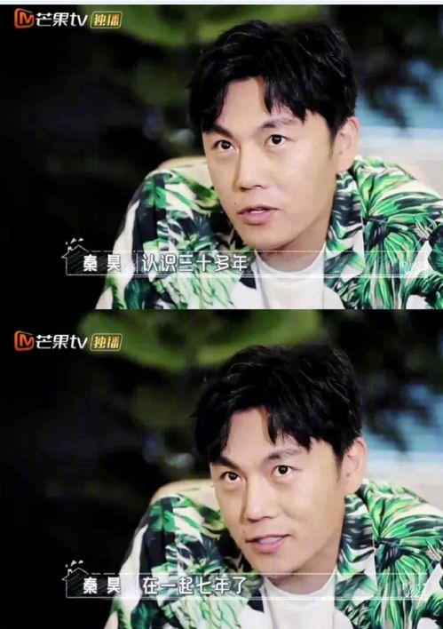 娱乐圈吃瓜女主小说推荐,瓜田里的甜蜜陷阱