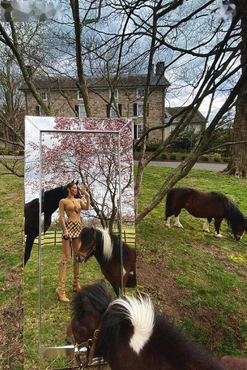 喂驴打一嘴巴子吃瓜娱乐,一场意外的网络狂欢