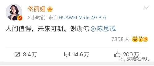 吃瓜娱乐全网收集,吃瓜娱乐，揭秘娱乐圈幕后故事