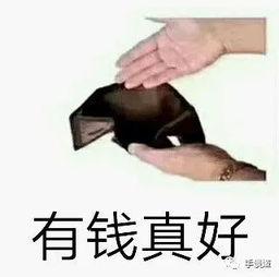 娱乐吃瓜酱借钱,揭秘借钱背后的娱乐圈风云