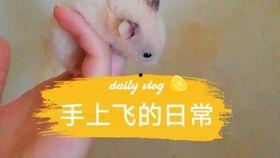 娱乐圈吃瓜背景板,揭秘幕后真相，吃瓜群众背后的故事