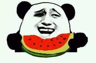 吃瓜群众看娱乐新闻,吃瓜群众热议最新娱乐新闻