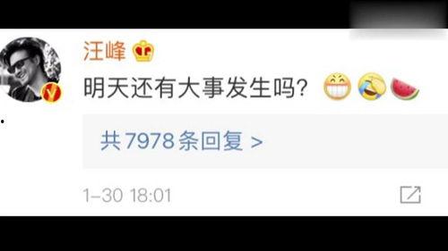 娱乐圈吃瓜微信号,揭秘明星背后的故事与真相