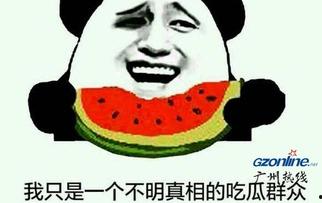 娱乐圈吃瓜群众啥意思,幕后真相大曝光